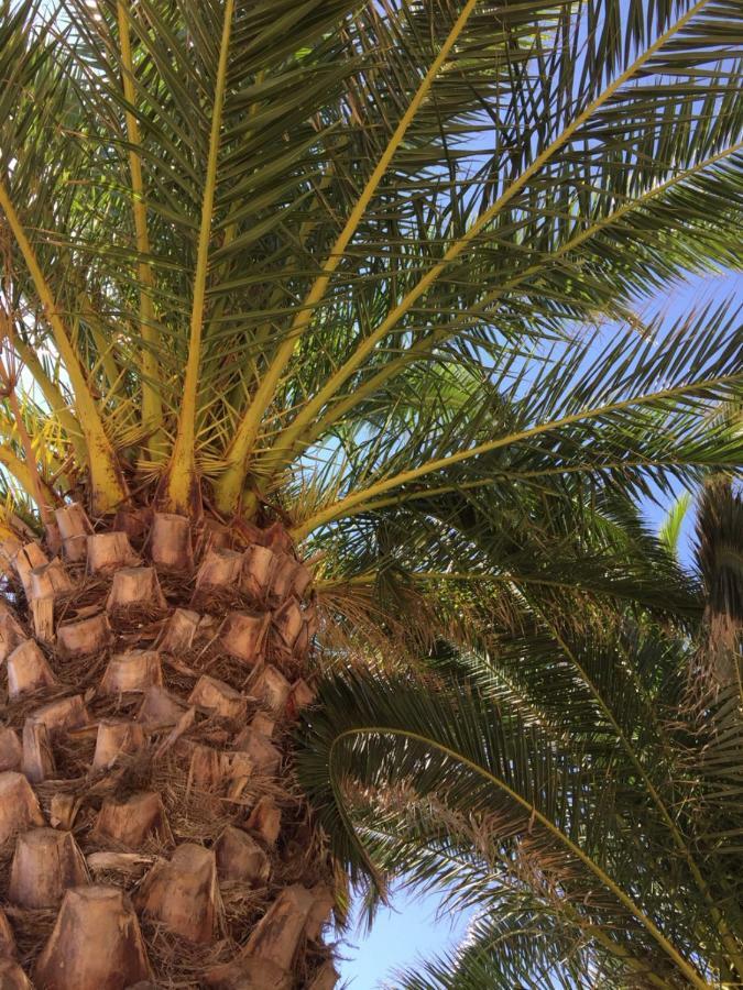 Sete - Vue Mer Imprenable, Piscine, Calme المظهر الخارجي الصورة